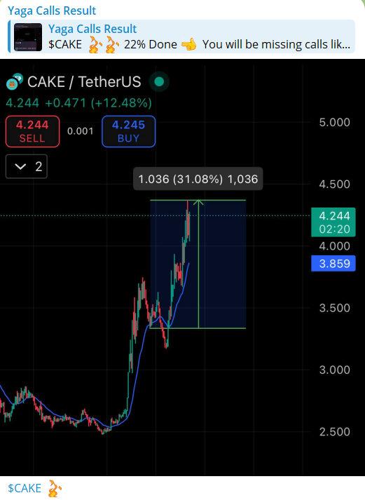 Cake result snapshot